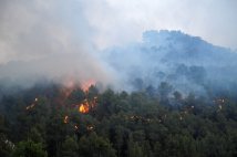 Alcaldes contra las Llamas